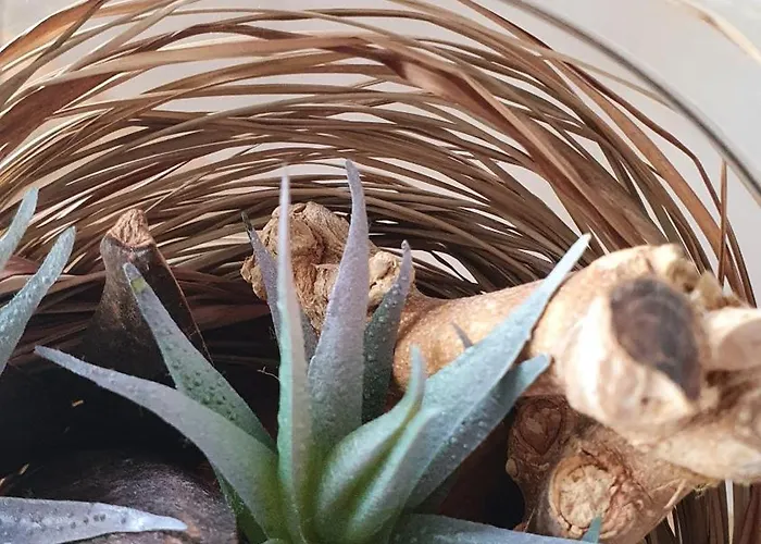 Cliffs Oceanview - 5min Walk To Appartement *